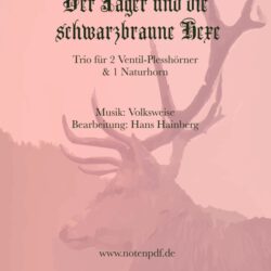 Der Jäger und die schwarzbraune Hexe (Plesshorn Trio)