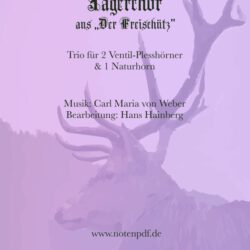 Jägerchor aus Freischütz (Plesshorn Trio)