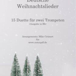 15 Deutsche Weihnachtslieder