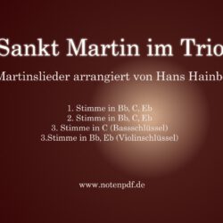 St. Martin im Trio
