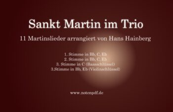St. Martin im Trio